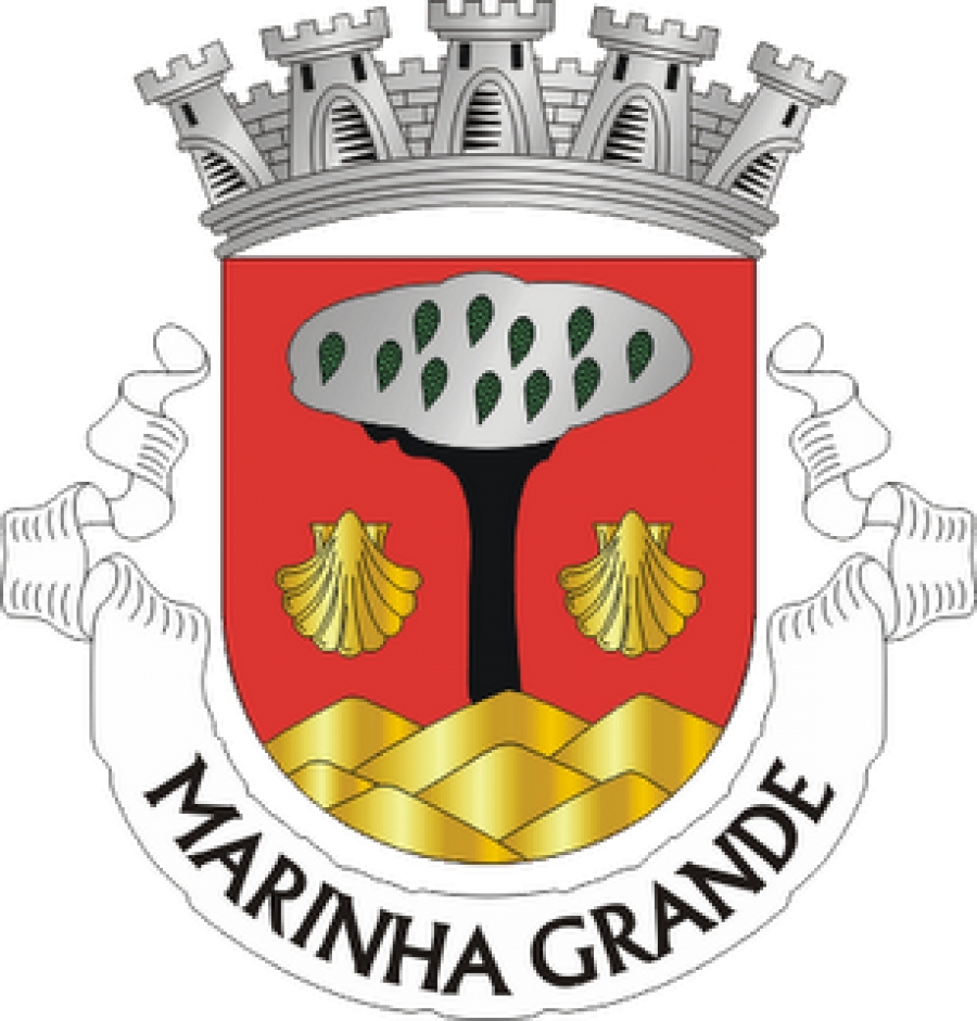 Resultado de imagem para Câmara Municipal da Marinha Grande