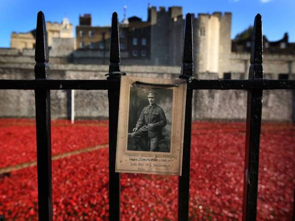 Dia da lembrança em Londres - última papoila é colocada na Torre de Londres