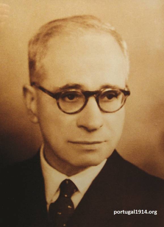 Luís António Martins Raposo